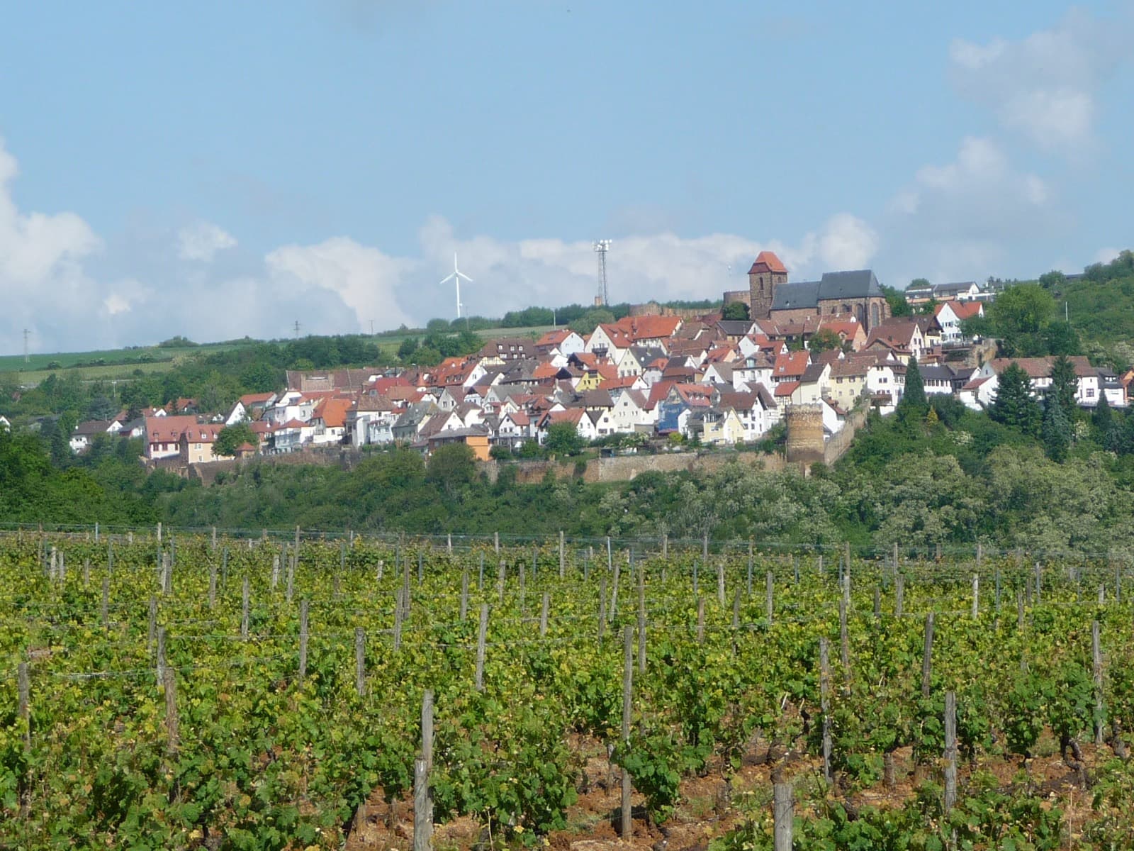 Das Hügeldorf Neuleiningen über den Weinbergen des Leiningerlandes